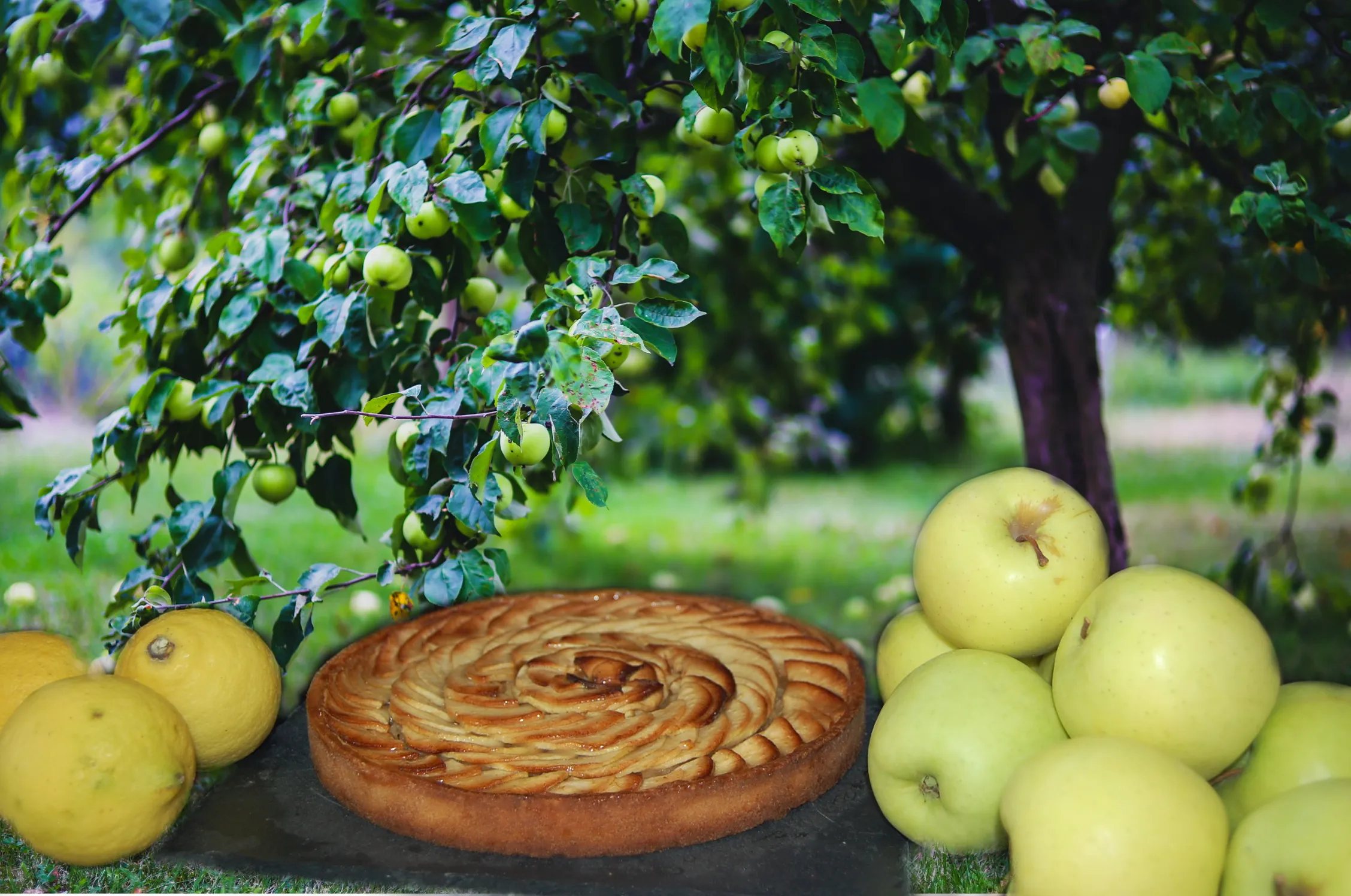 Tarte aux pommes gourmande,